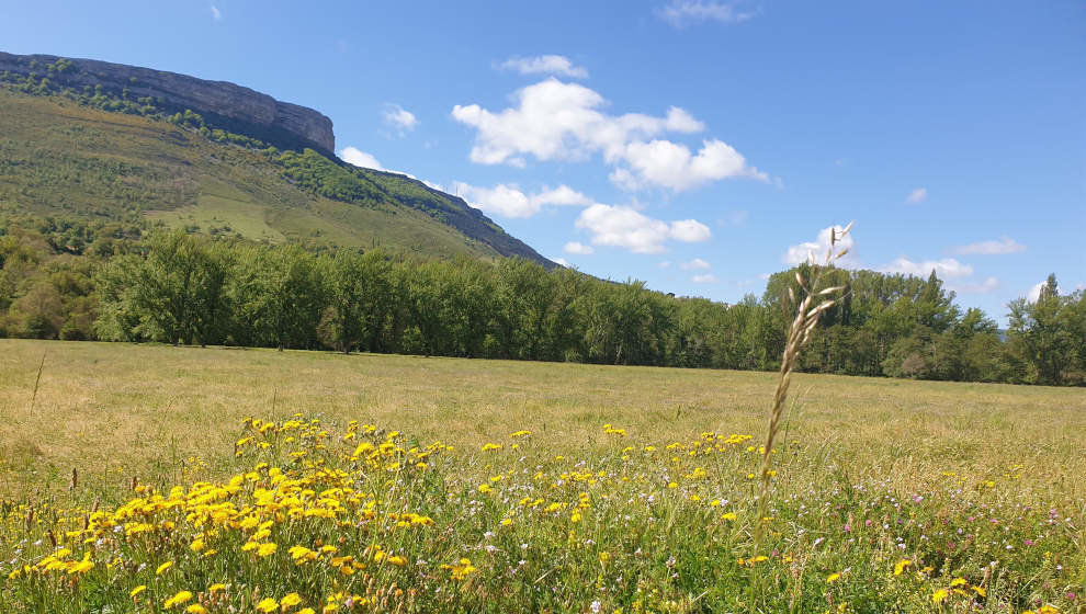 Primavera en el sur de Cantabria