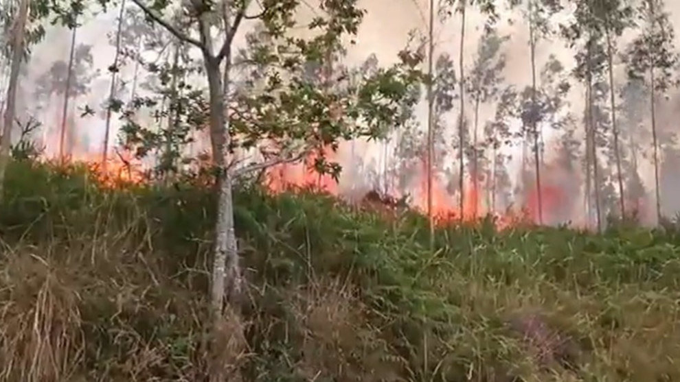 Incendio en el Alto Turujal