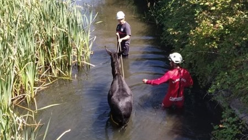 Rescate del burro. Foto: Twitter 112 Cantabria