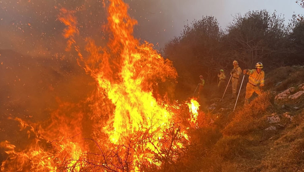 Incendio forestal