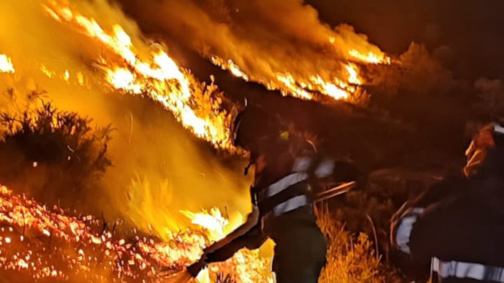 Incendio forestal