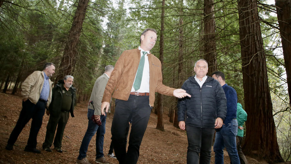 Visita del consejero de Desarrollo Rural, Guillermo Blanco, a las obras del Monumento Natural de las Secuoyas