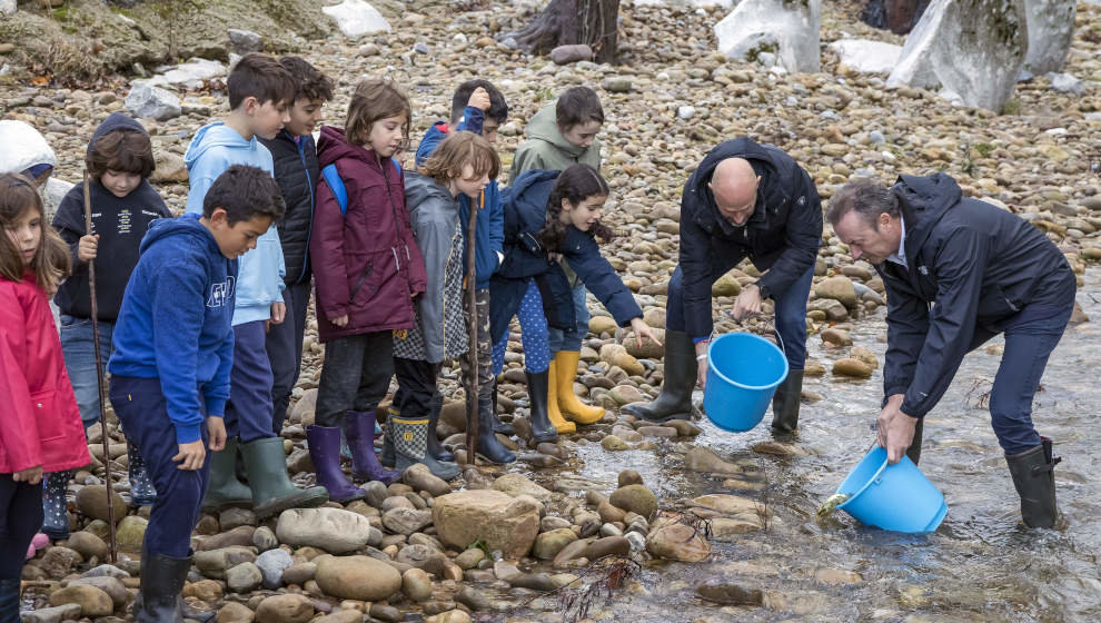 El consejero de Pesca, Guillermo Blanco, participa junto a un grupo de alumnos en la suelta de alevines de salmón en el Pas