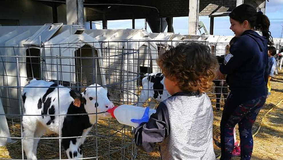 Imagen de una visita infantil