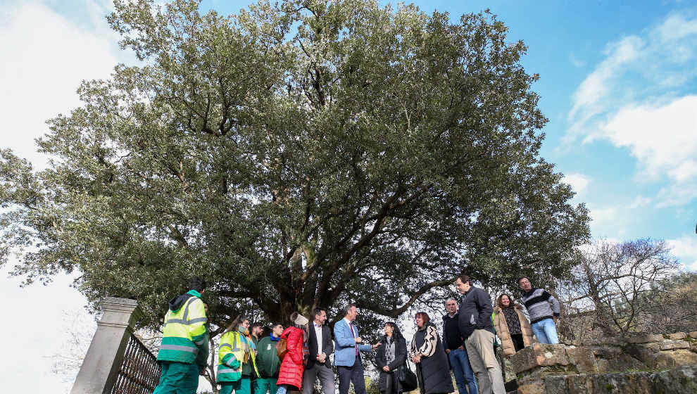 El consejero de Desarrollo Rural, Ganadería, Pesca, Alimentación y Medio Ambiente, Guillermo Blanco, ha visitado la Encina de San Roque de Colindres junto al alcalde, Javier Incera