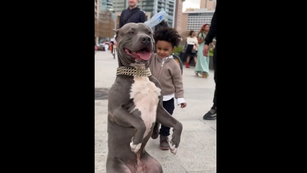 Imagen: captura del vídeo en redes sociales