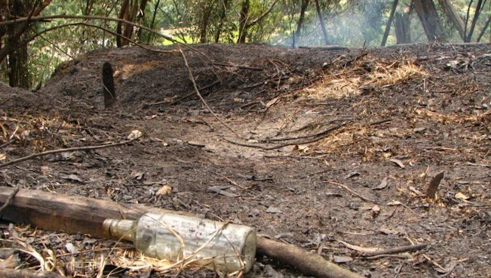 Incendio forestal