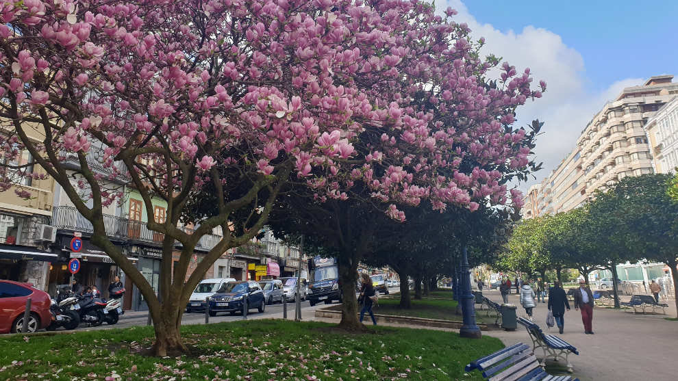 Primavera en Santander