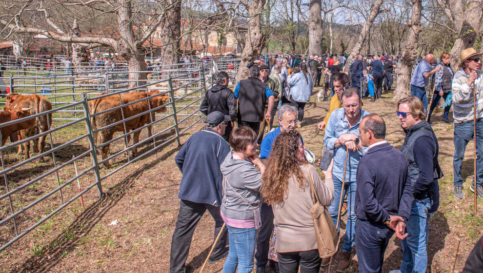 El consejero Guillermo Blanco y el alcalde de Reocín, Pablo Diestro, en la feria de San Benito, en Barcenaciones