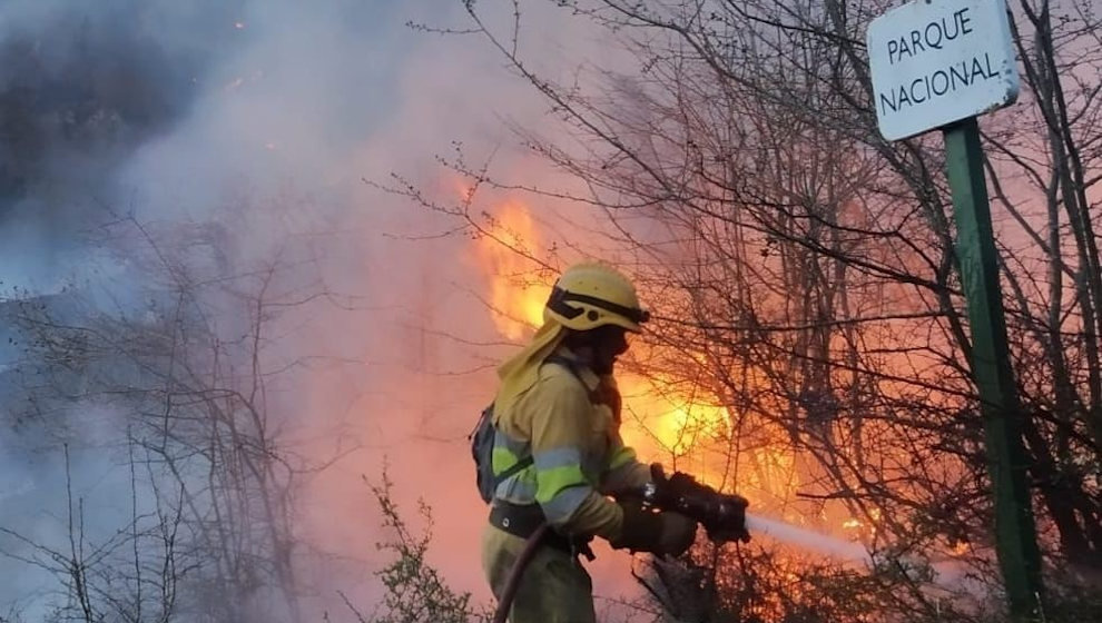 Incendio forestal