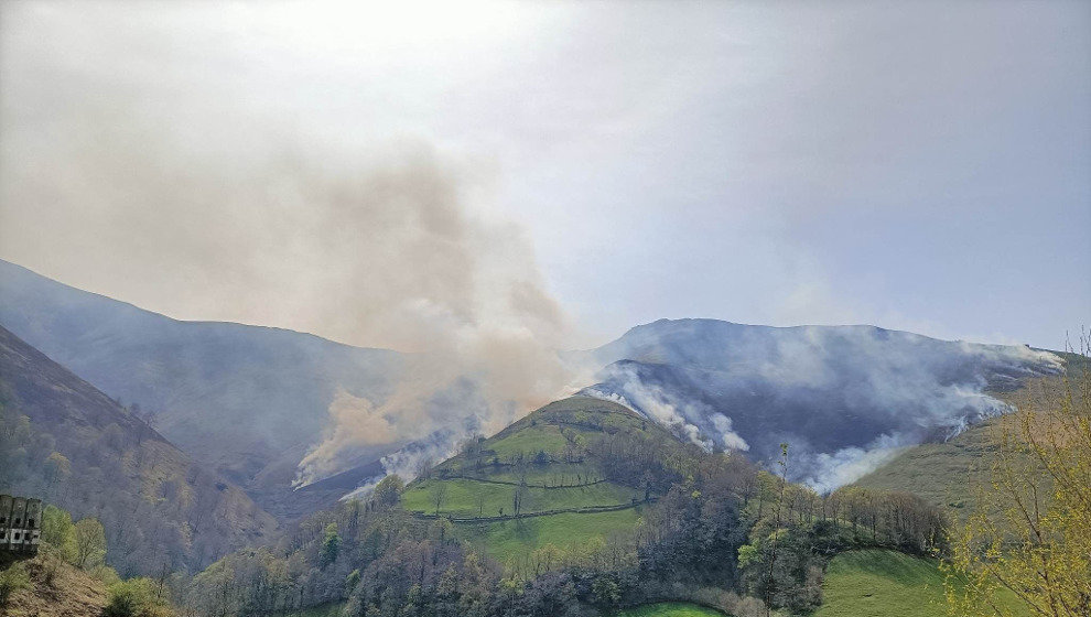 Incendio forestal | Foto de archivo