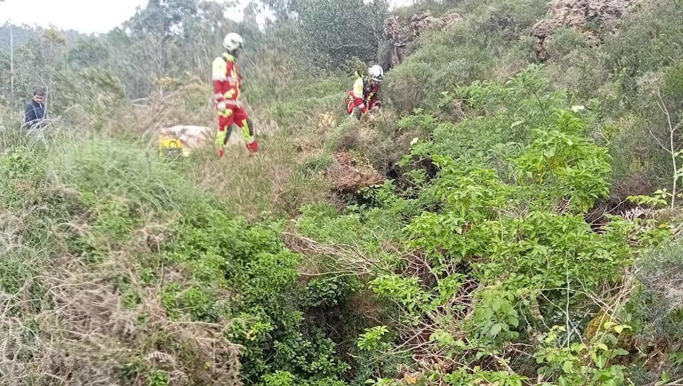 Bomberos rescatan a tres perros