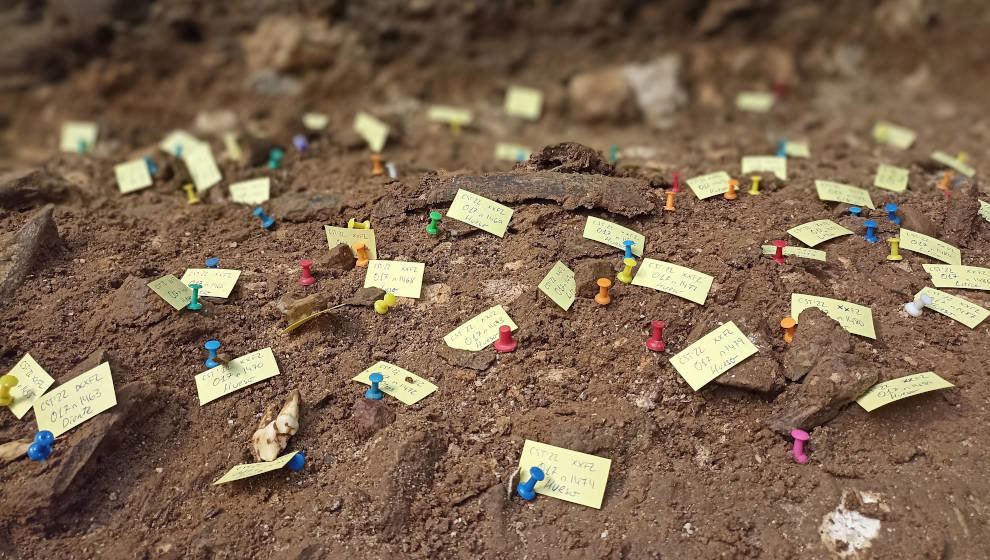 La UNED ofrece un curso de verano sobre Arqueología Neandertal en el CARUC de Puente Viesgo