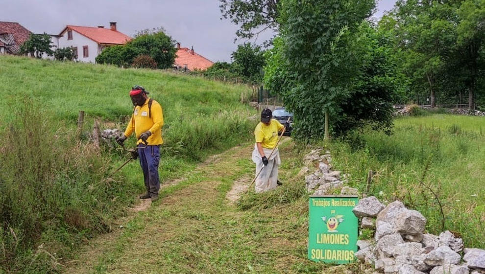 Operarios de Limones Solidarios