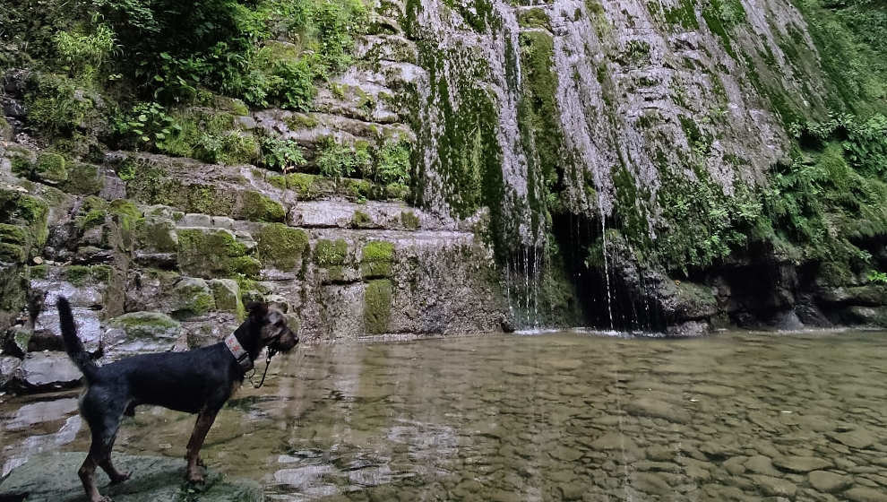 Visita al churrón de Borleña con perro