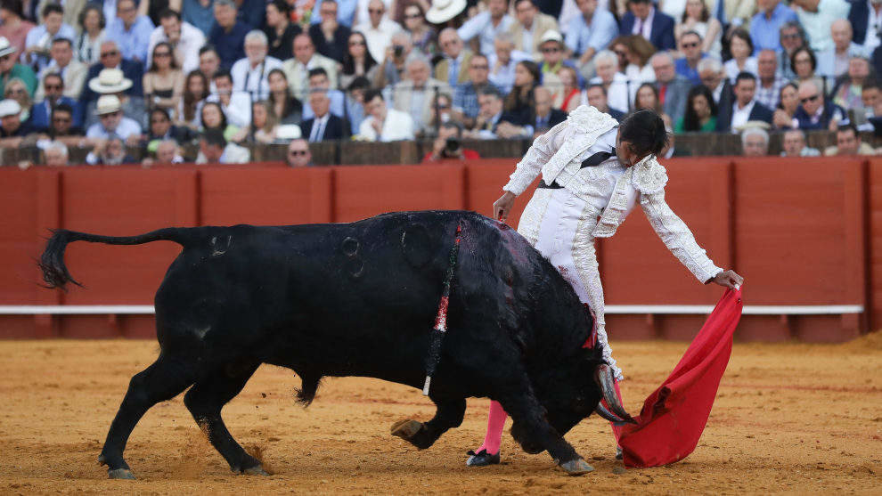 El diestro Miguel Ángel Perera toreando