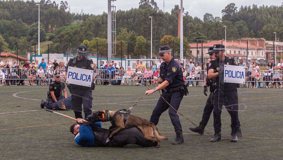 Exhibición canina en Torrelavega