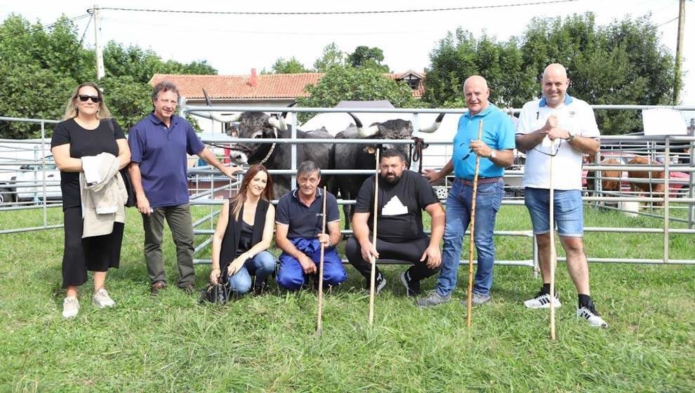 El consejero de Desarrollo Rural y Ganadería, Pablo Palencia, en la feria de ganado de La Revilla, en San Vicente de la Barquera, que ha reunido a 300 reses de veinte ganaderías
