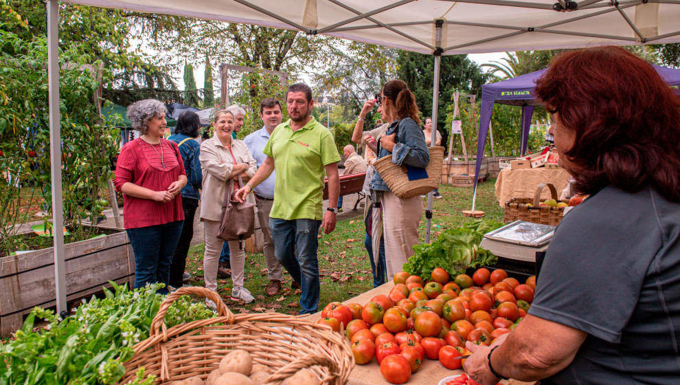 Torrelavega ya disfruta de su Festival del Tomate