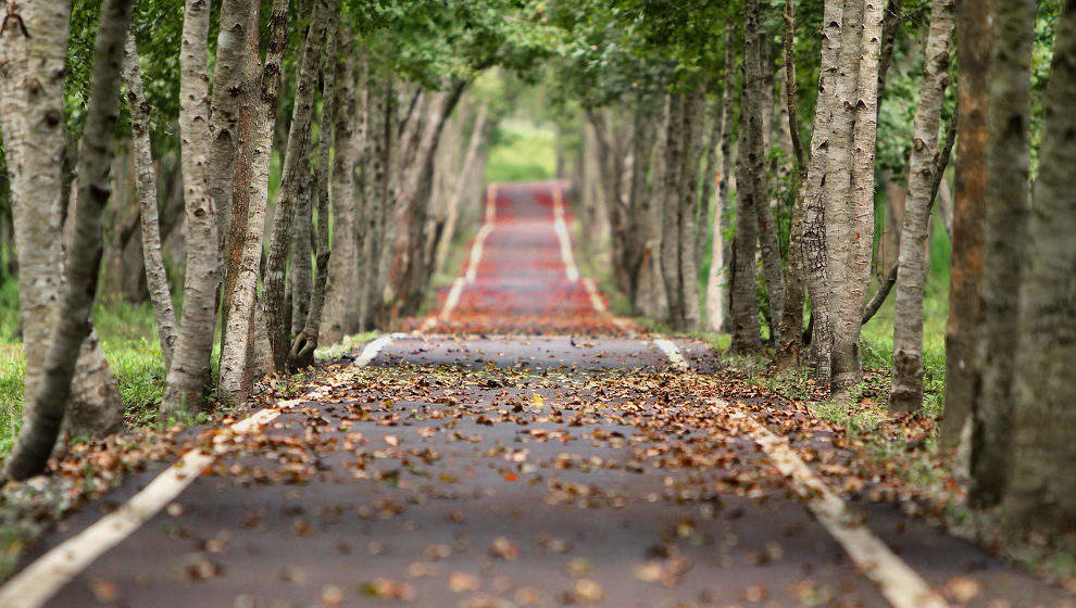 Otoño en Cantabria