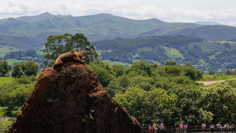 Parque de Cabárceno