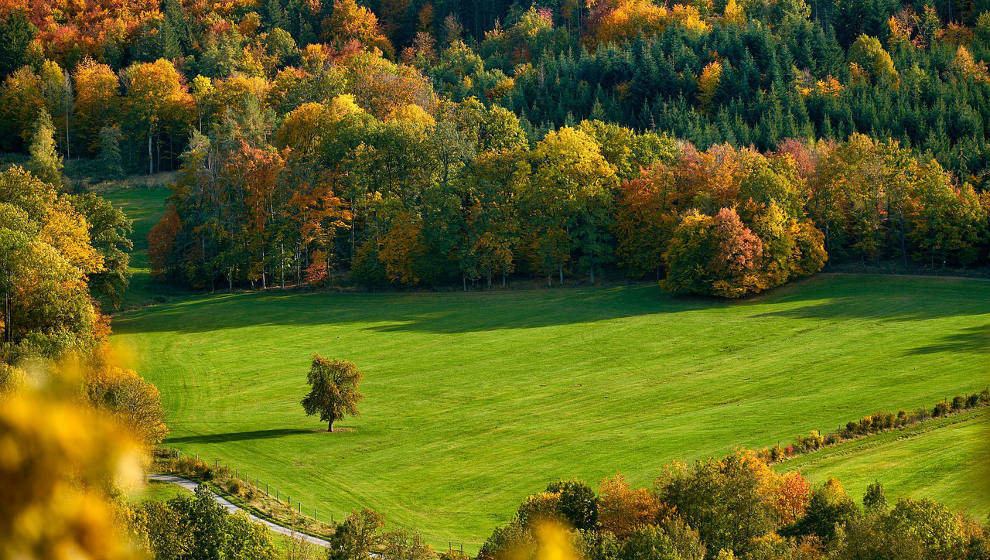 El otoño comenzó este pasado sábado