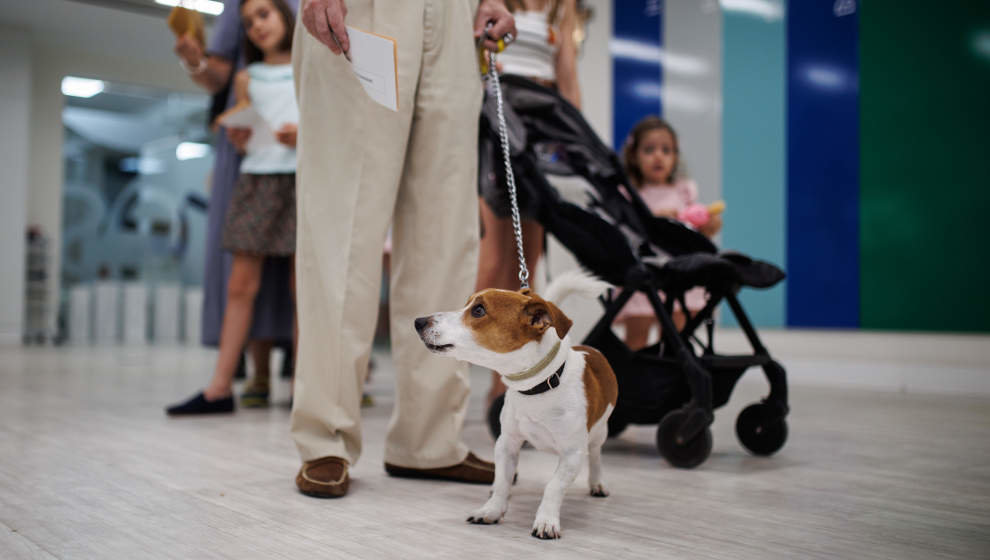 Una persona junto a su perro