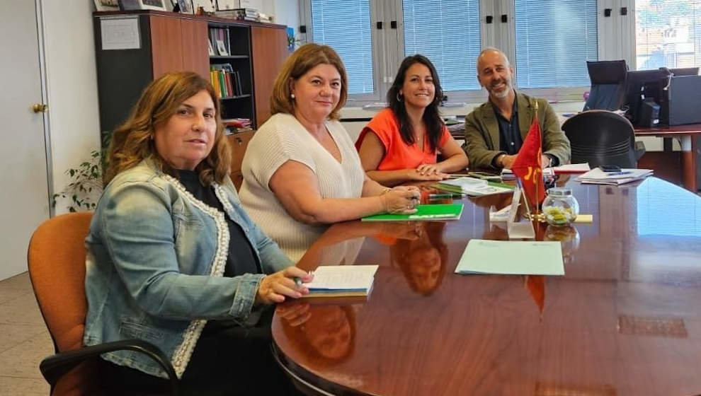 Reunión de SATSE y ANPE con el consejero de Educación, Sergio Silva