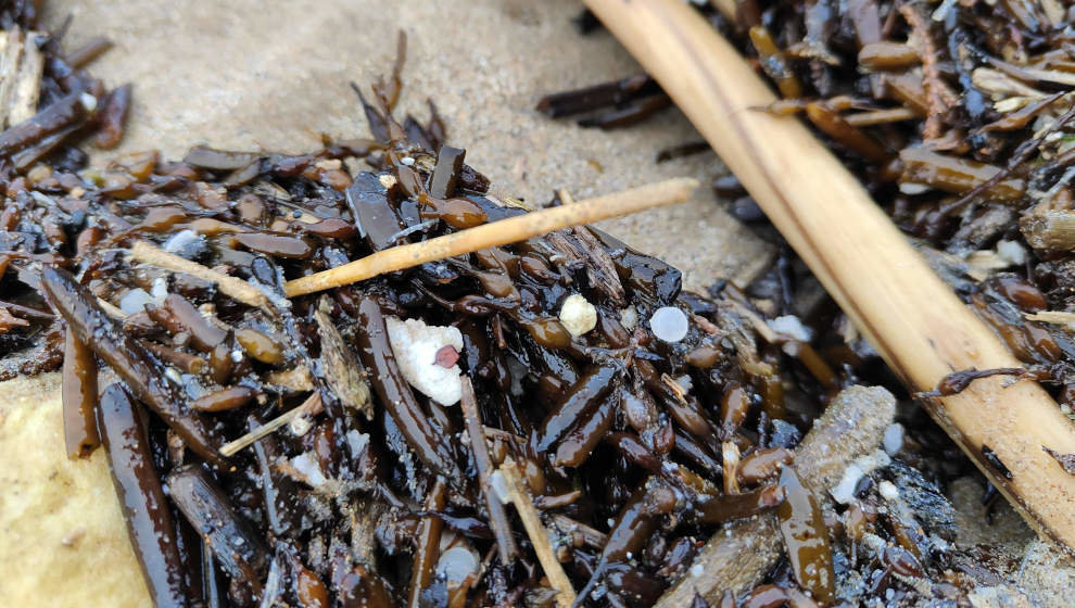 Pellets en la playa de La Virgen del Mar en Santander | Foto: edc