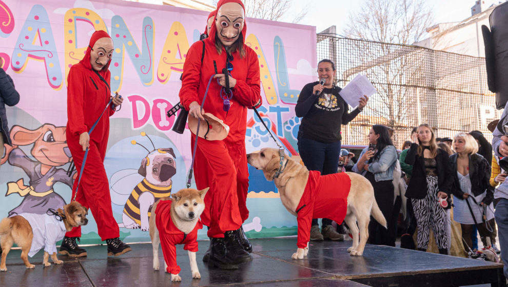 Perros disfrazos de la serie 'La casa de papel'