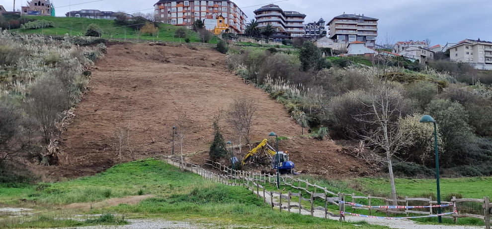 Ladera donde se están realizando los trabajos