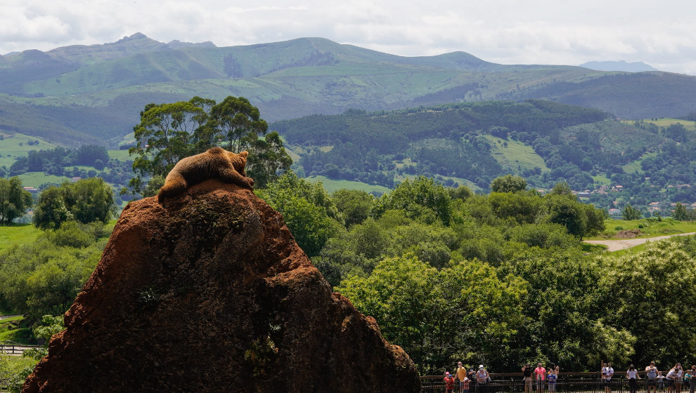  Parque de Cabárceno