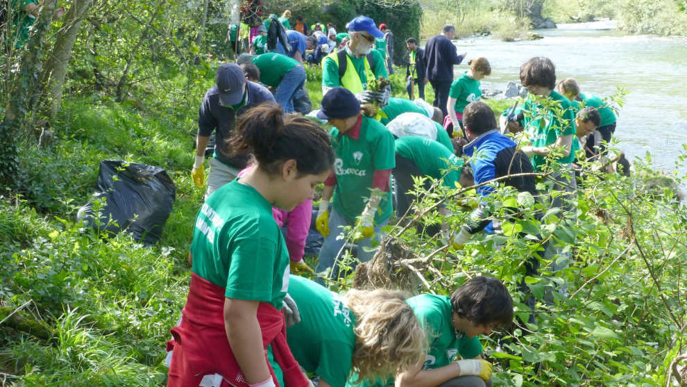 Voluntariado ambiental