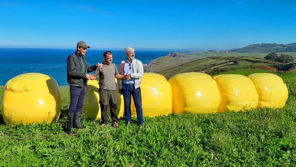  Una veintena de ganaderos de Alfoz de Lloredo adornarán sus prados con rollos de silo teñidos de amarillo limón para luchar contra el cáncer y hacer un homenaje al famoso cítrico del municipio.