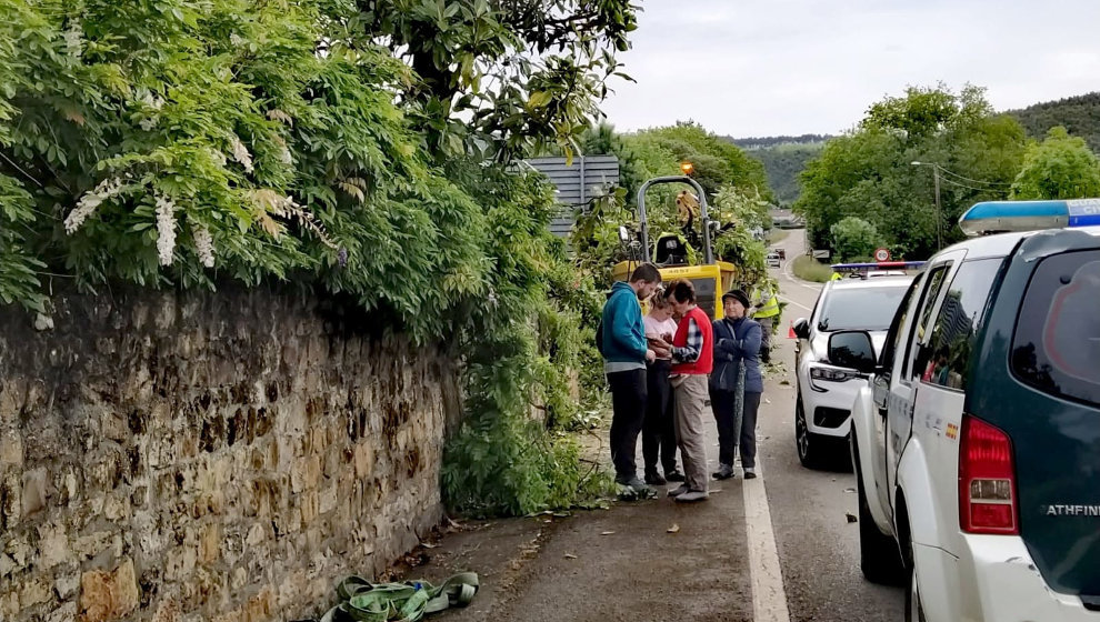  Propietarios de la finca y vecinos de Galizano junto al magnolio que se va a talar y la Guardia Civil 