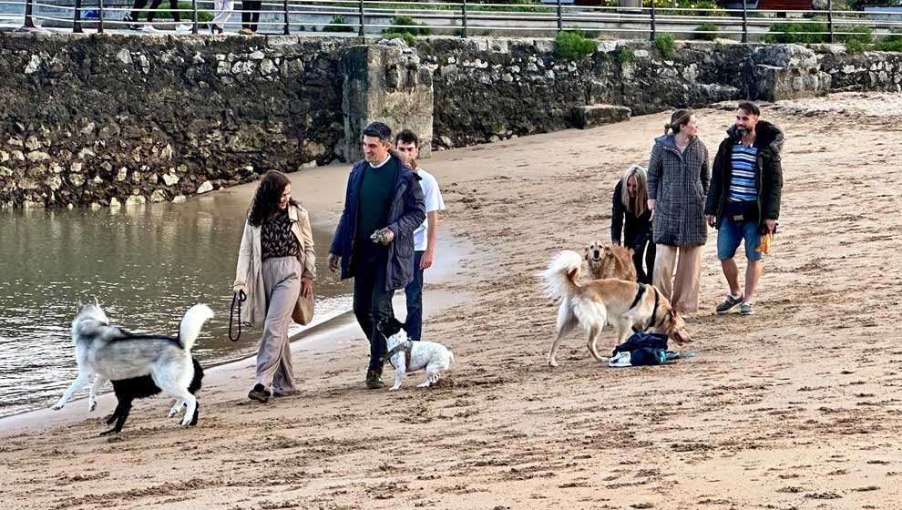 El PSOE pide incluir la Playa de Gamazo en el catálogo de playas urbanas de Santander y declararla 'pet friendly'