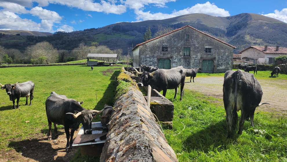 Valle interior de Cantabria