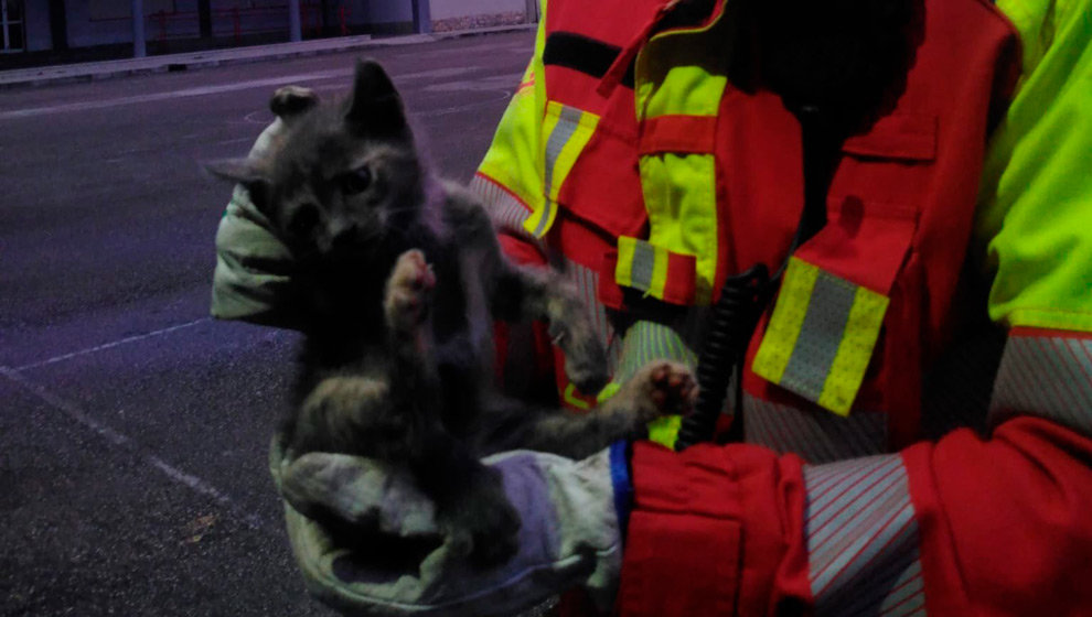 Gato rescatado por los bomberos del 112 tras quedar atrapado en la rueda de un coche