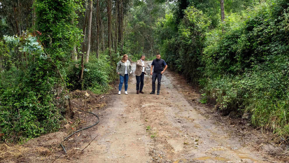 El consejero de Desarrollo Rural, Ganadería, Pesca y Alimentación, Pablo Palencia, visita la obra de mejora de la pista entre La Bárcena y Santisteban