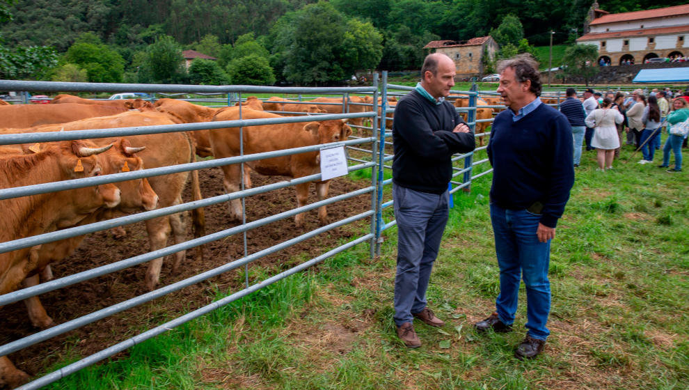 El consejero Palencia en la feria ganadera de Voto