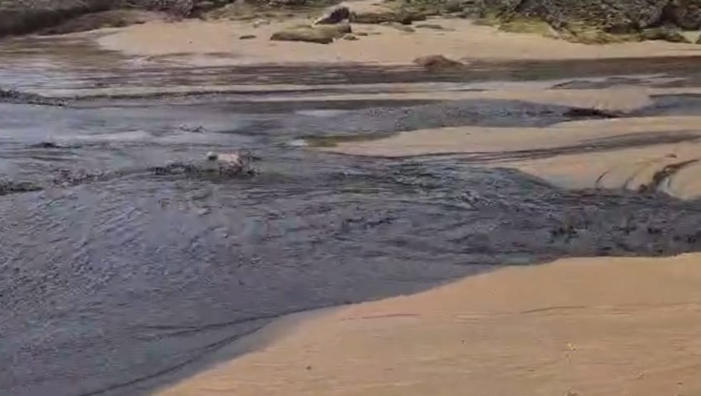 Vertido en la playa de Molinucos