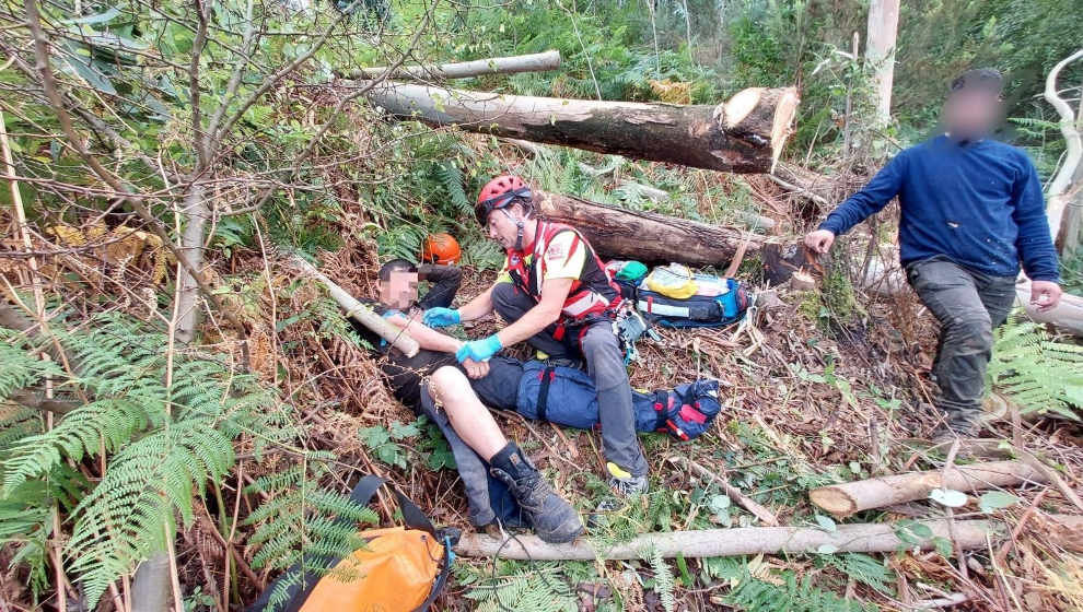 Herido un trabajador forestal tras caerle un árbol sobre la pierna en Otañes, Castro Urdiales