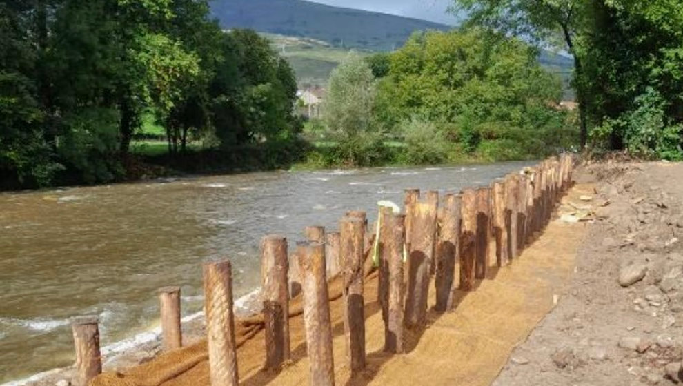 Trabajos de bioingeniería, aguas arriba del azud, para recuperar el cauce original del río Besaya