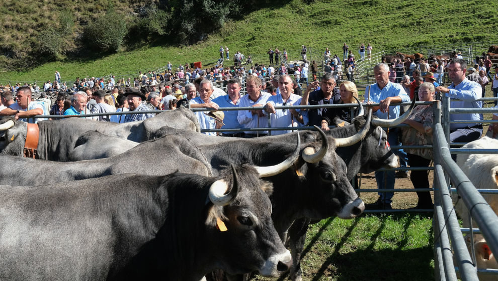 III edición de su Feria y Exposición de Ganado