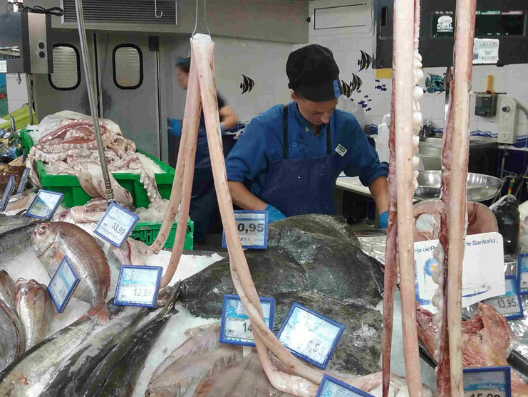 El calamar gigante está expuesto en el supermercado BM de El Sardinero