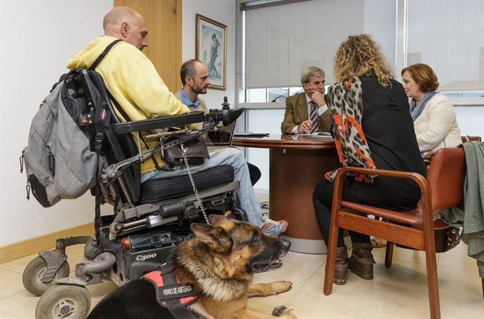 Muchos discapacitados no pueden acceder a espacios públicos con sus perros guía