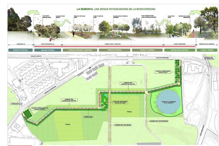 Plano de las futuras obras en el parque de La Remonta