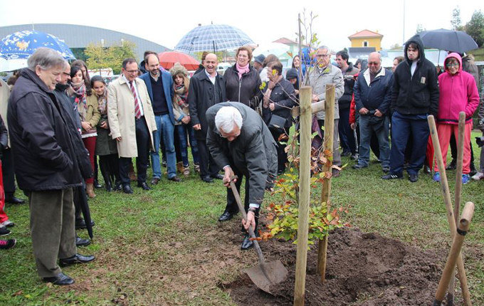 Torrelavega Solidaria ha plantado un árbol para celebrar la labor de estos años