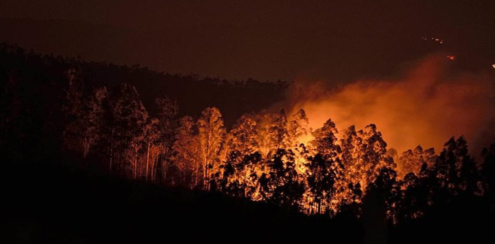 Los incendios han consumido cerca de 2.000 hectáreas