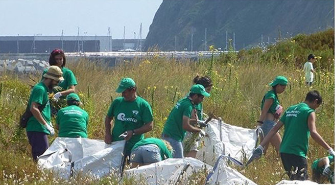Para desarrollar esta intervención Bosques de Cantabria ha contado con la participación de un gran número de voluntarios